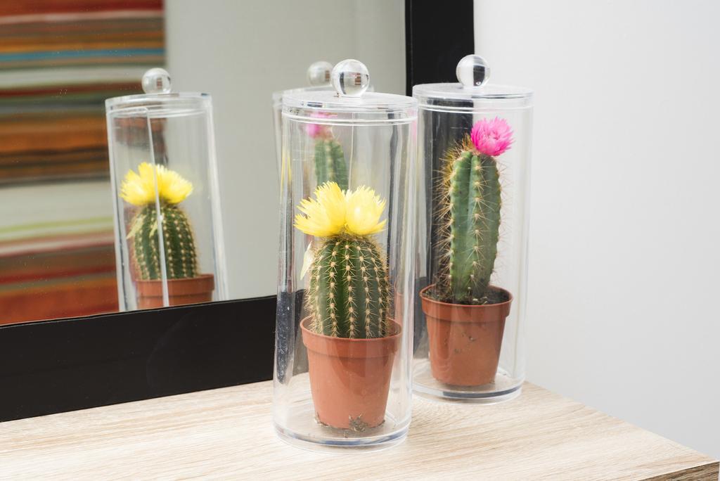 런던 Camden Flat 아파트 외부 사진